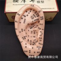 河北电热护膝、护腰、护肩带品牌大全与选购指南